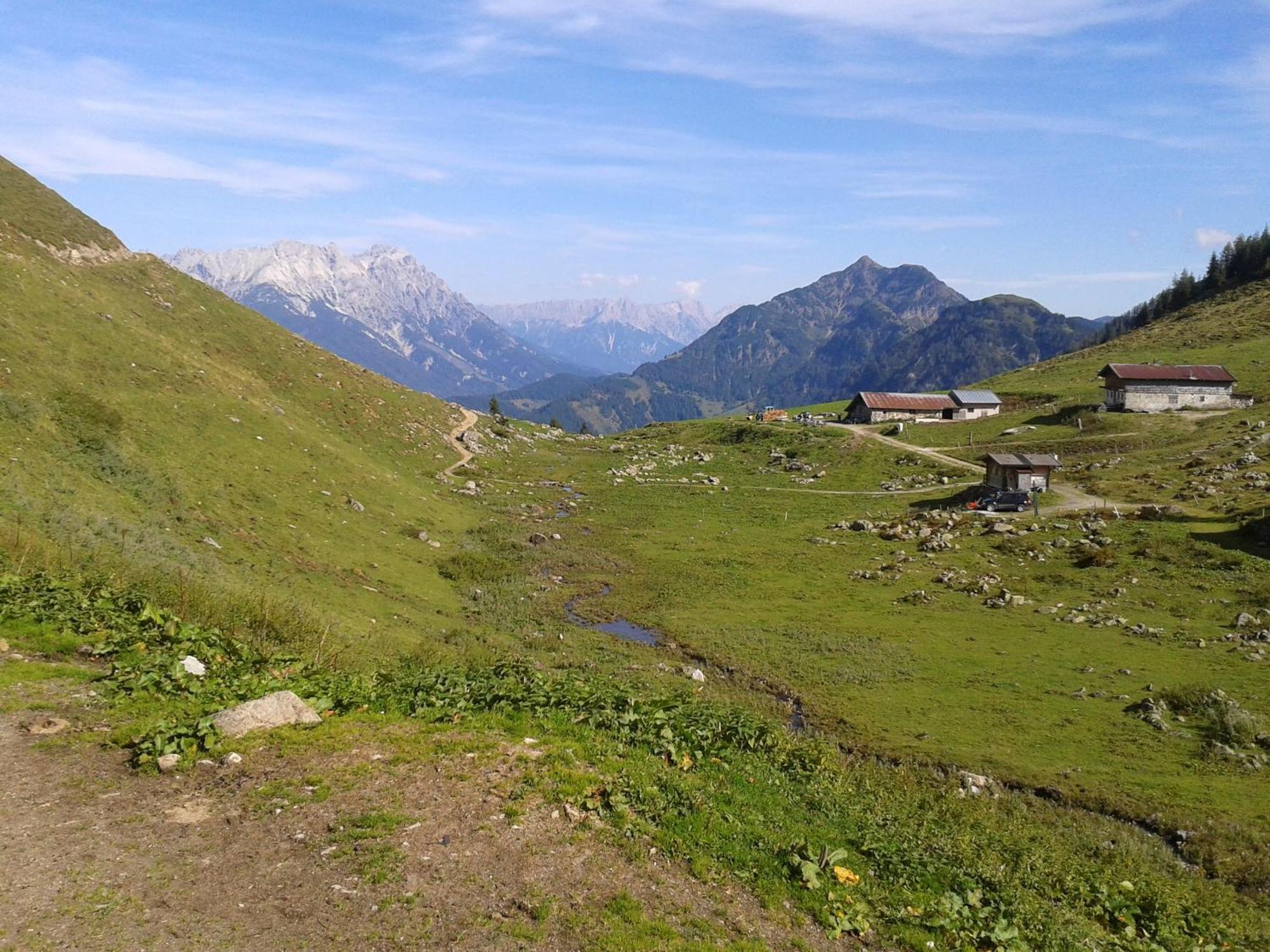 Ferienwohnung Biechl-Hauser Doris Sankt Ulrich am Pillersee Bagian luar foto